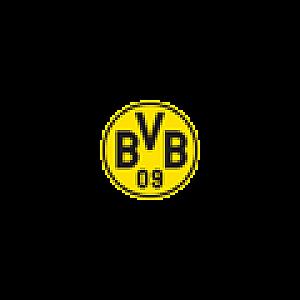 Logo des Shops SHOP BVB