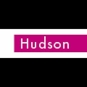 Logo des Shops hudson-shop.de