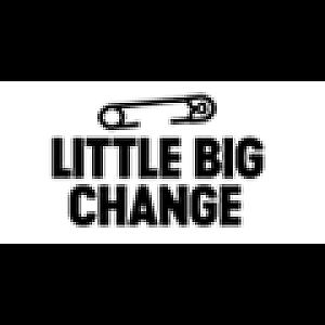 Logo des Shops Little Big Change