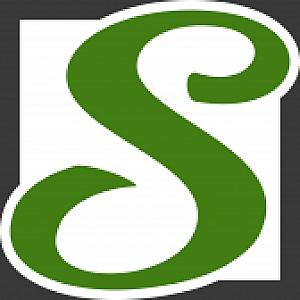 Logo des Shops Schleifenshop24