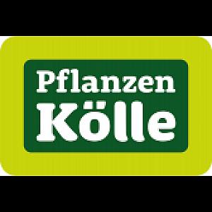 Pflanzen Kölle