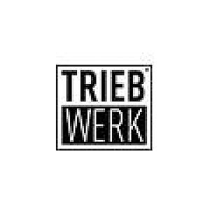 Logo des Shops Triebwerk