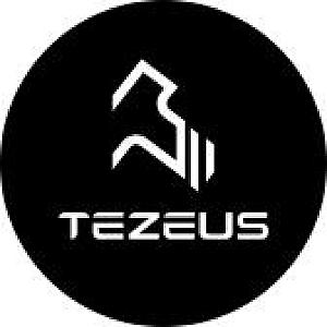 Logo des Shops Tezeus Ebike