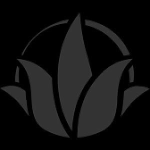 Logo des Shops Verapur