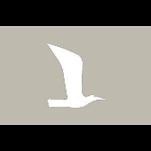 Logo des Shops Möve