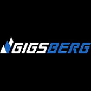 Logo des Shops Gigsberg